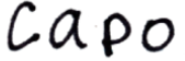 Capo